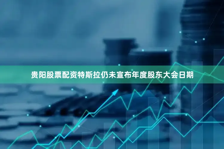 贵阳股票配资特斯拉仍未宣布年度股东大会日期